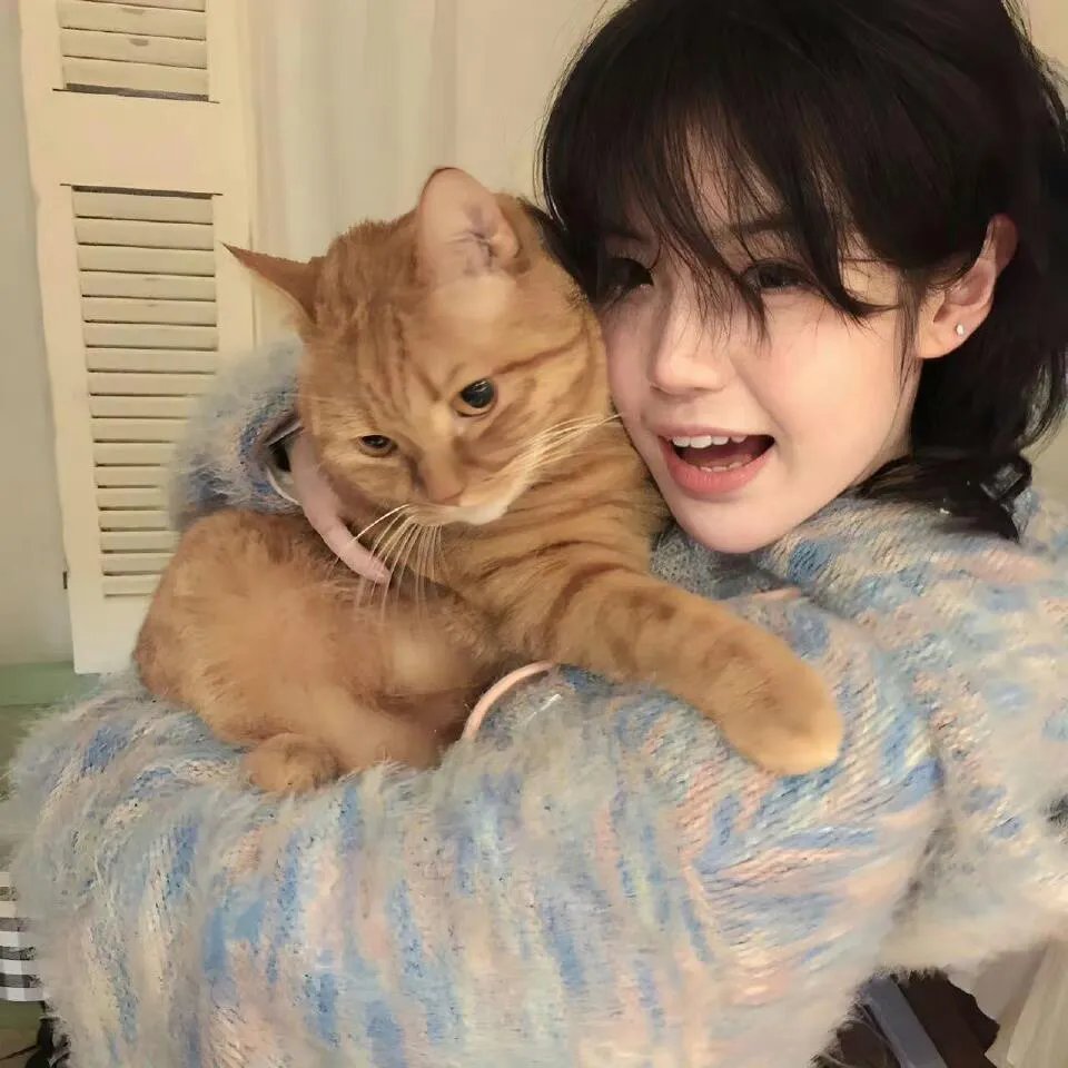 史酷比!格斗狂热迷