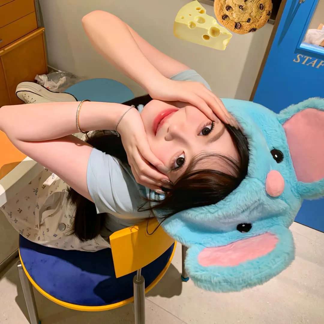 猫无赦