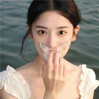 蝴蝶仔
